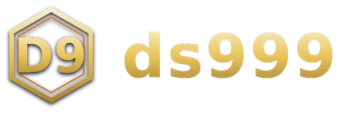 ds999 logo